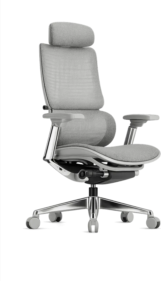 Executive ergonomic chair with headrest