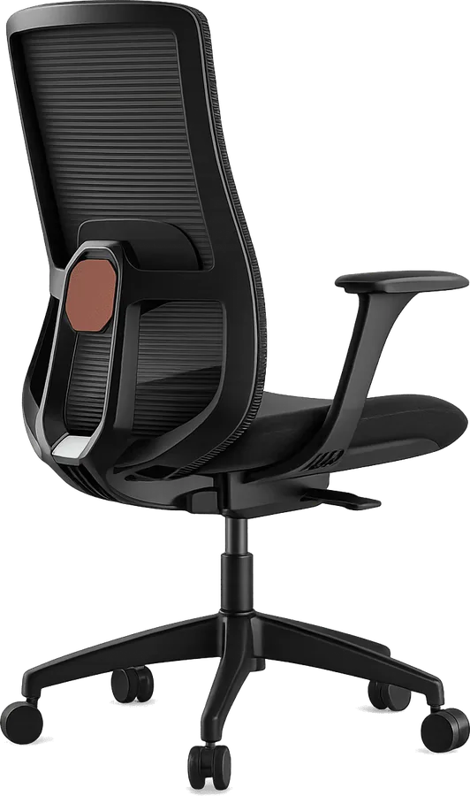 Task chair with lumbar support
